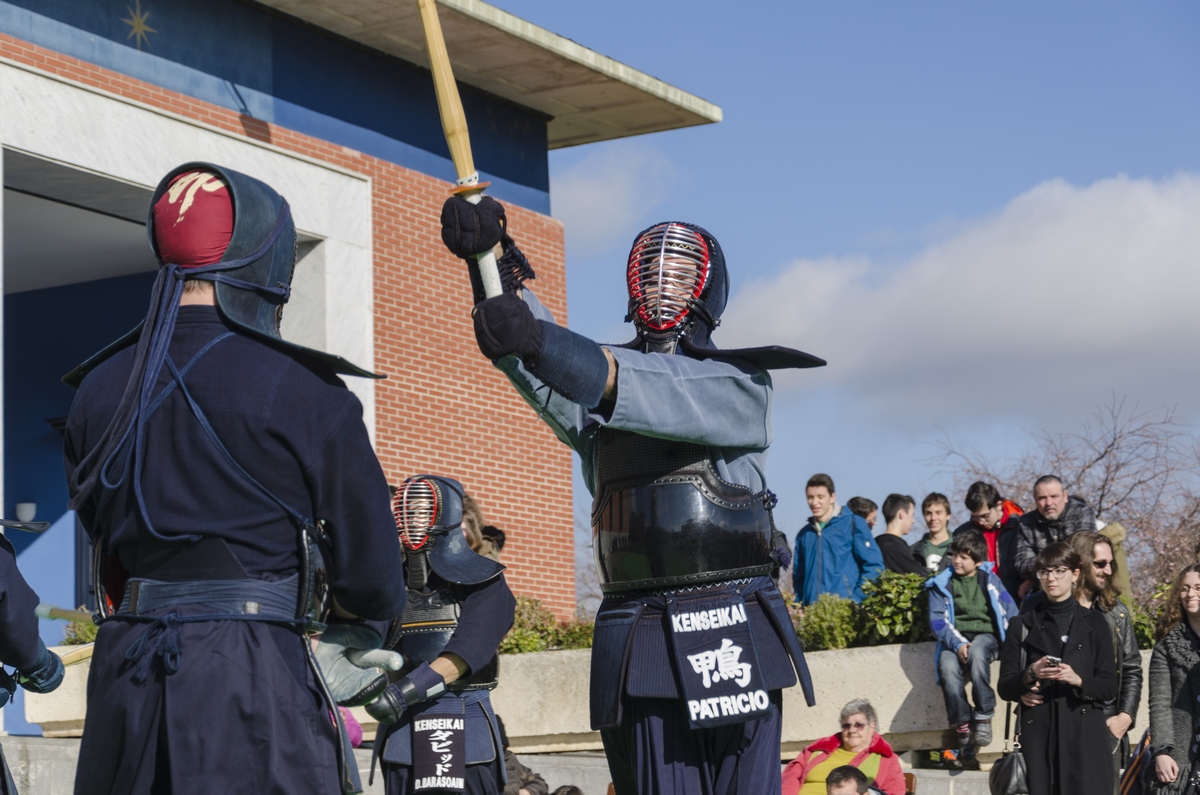 Exhibición de Kendo en Pamplona el 17-01-15